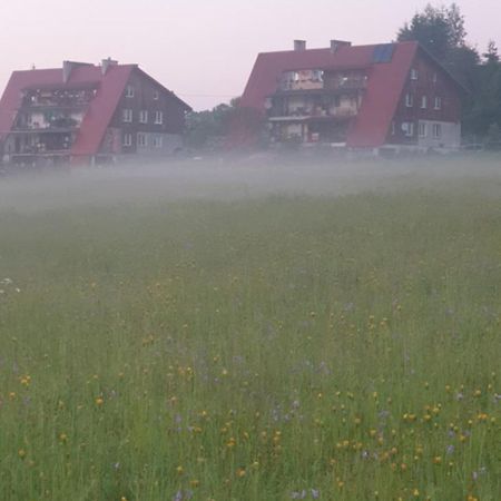 Apartament Wrzos Bieszczady 恰尔纳 外观 照片