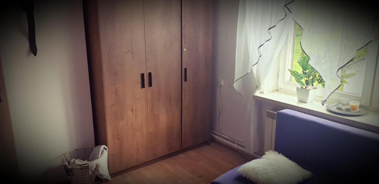 Apartament Wrzos Bieszczady 恰尔纳 外观 照片